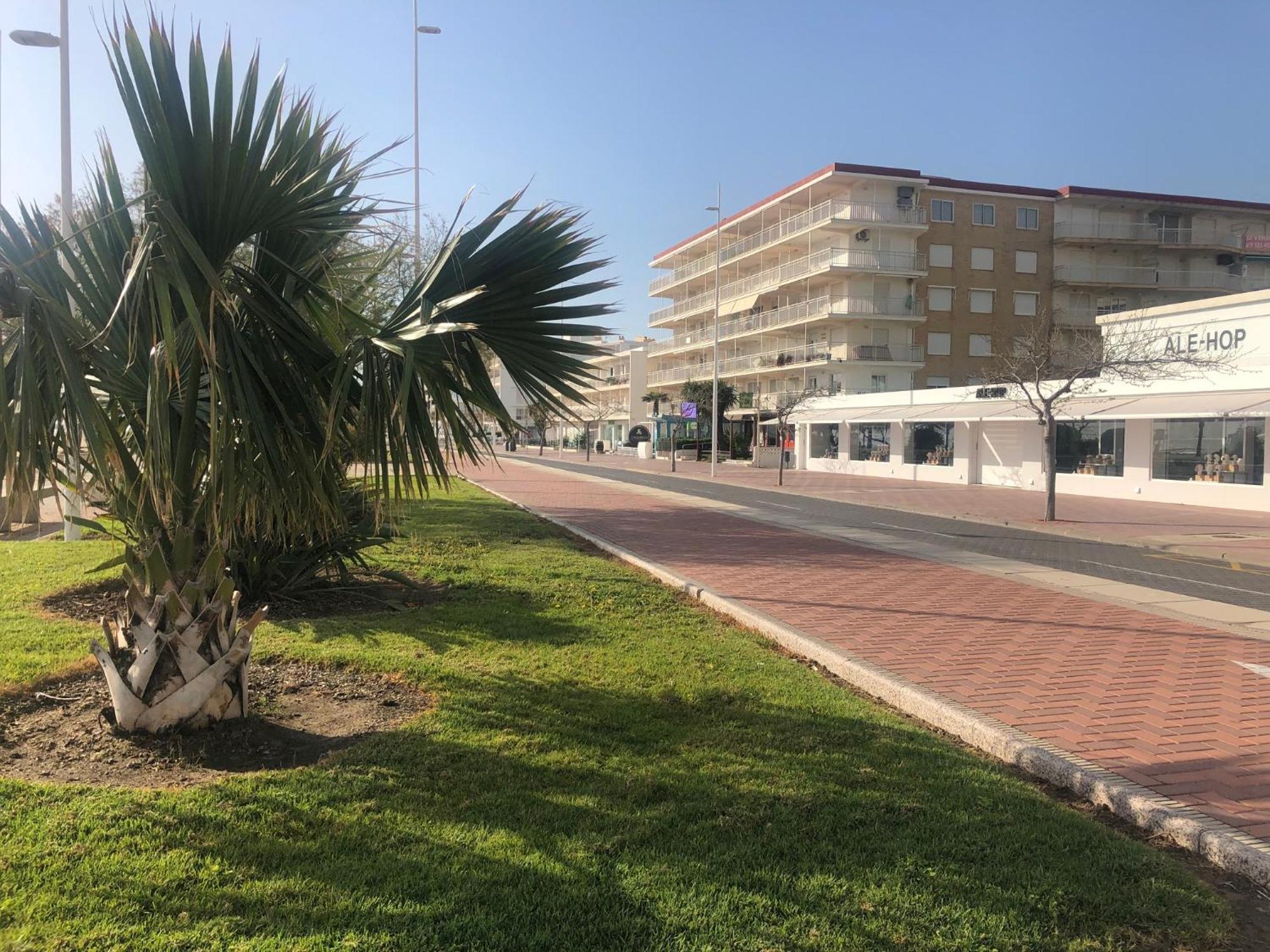 דירות Playa De Gandia 1Ere Ligne El Galeon מראה חיצוני תמונה